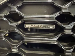 
AUDI Q5 S-LINE 40 TDI 204 CV S-TRONIC QUATTRO full									