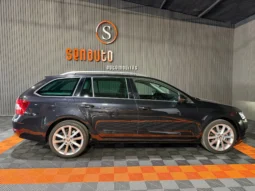 
SKODA OCTAVIA STYLE COMBI 2.0 TDI 150CV DSG full									