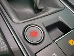 
CUPRA FORMENTOR 2.0 TDI 150CV 6 VEL full									