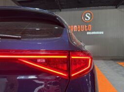 
CUPRA FORMENTOR 2.0 TDI 150CV 6 VEL full									